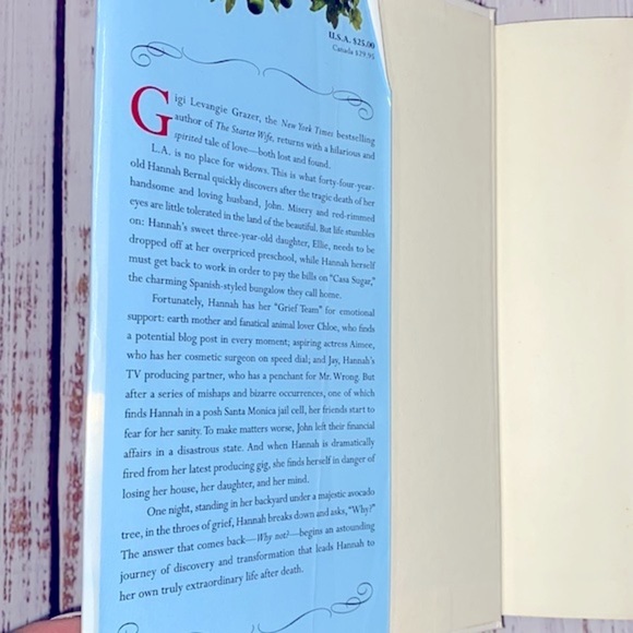 The After Wife hardback book by Gigi Levangie Grazer - Picture 3 of 10